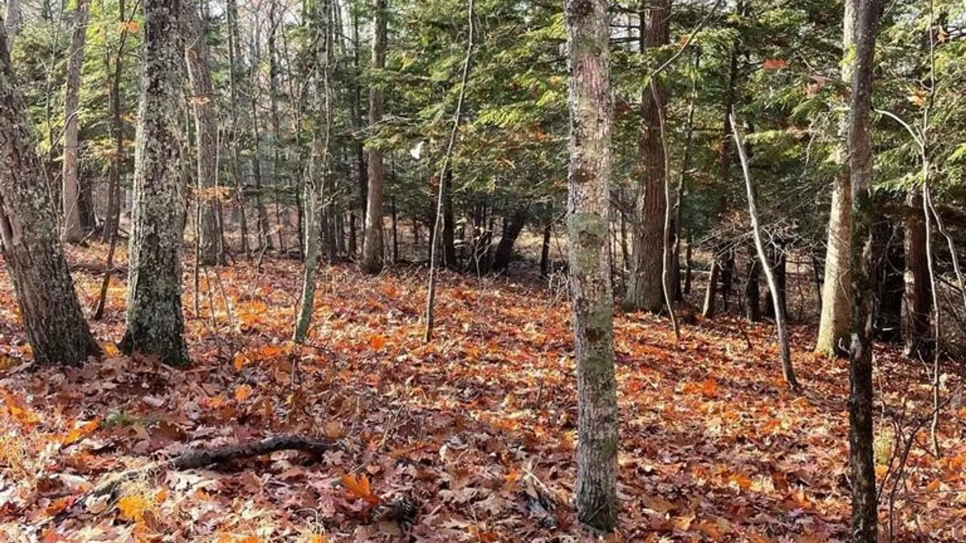 Property at L26 & L27 Ecker Hollow Road, Cobleskill, NY 12157 27