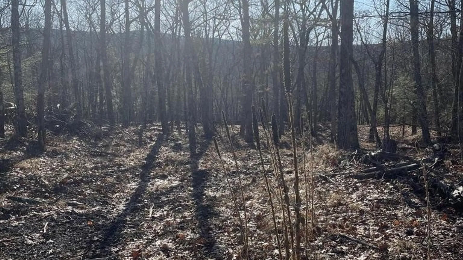 Property at L26 & L27 Ecker Hollow Road, Cobleskill, NY 12157 30
