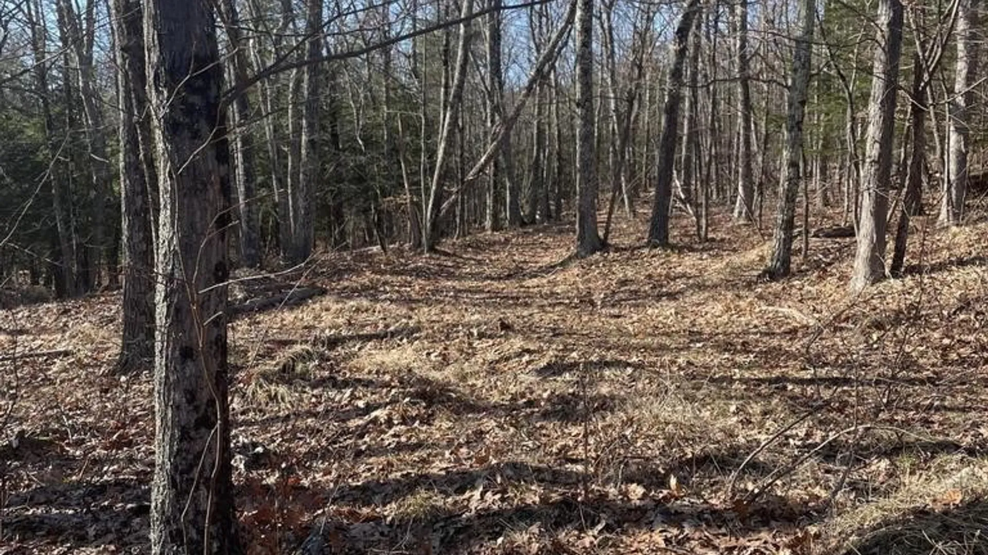 Property at L26 & L27 Ecker Hollow Road, Cobleskill, NY 12157 31