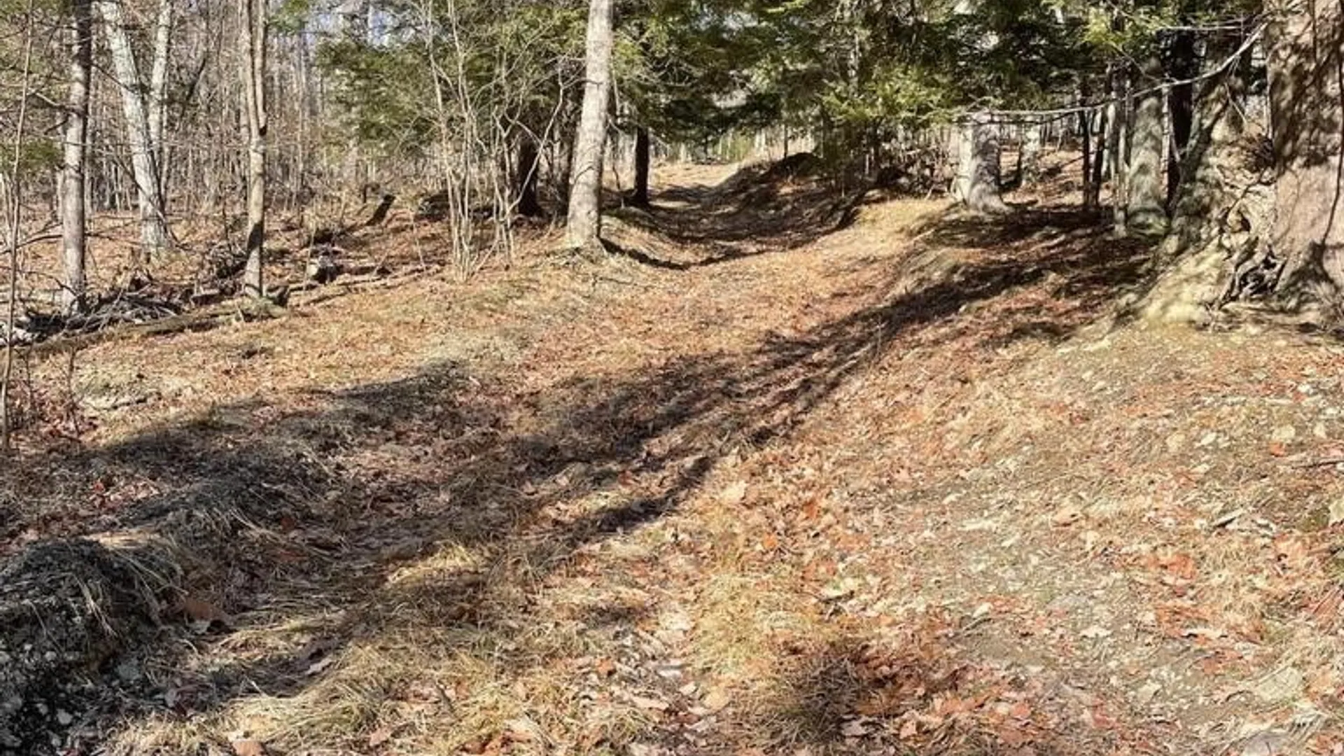 Property at L26 & L27 Ecker Hollow Road, Cobleskill, NY 12157 32