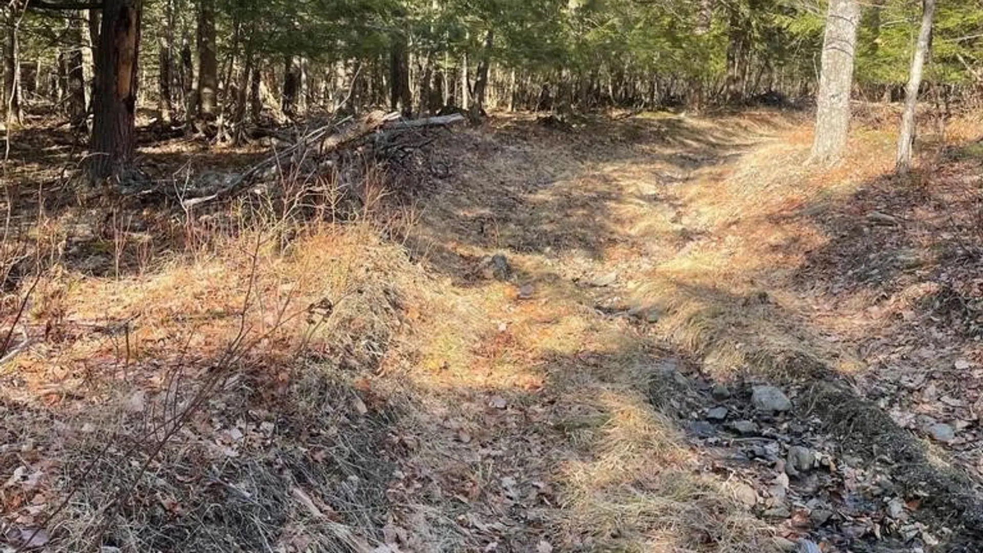 Property at L26 & L27 Ecker Hollow Road, Cobleskill, NY 12157 34