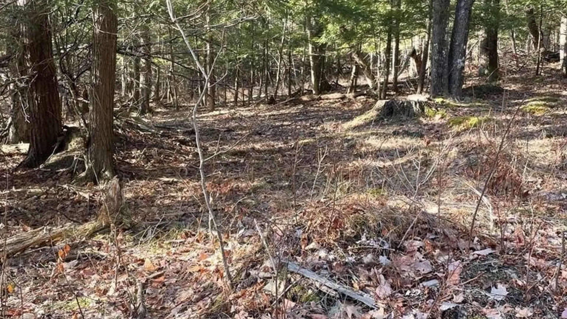 Property at L26 & L27 Ecker Hollow Road, Cobleskill, NY 12157 35