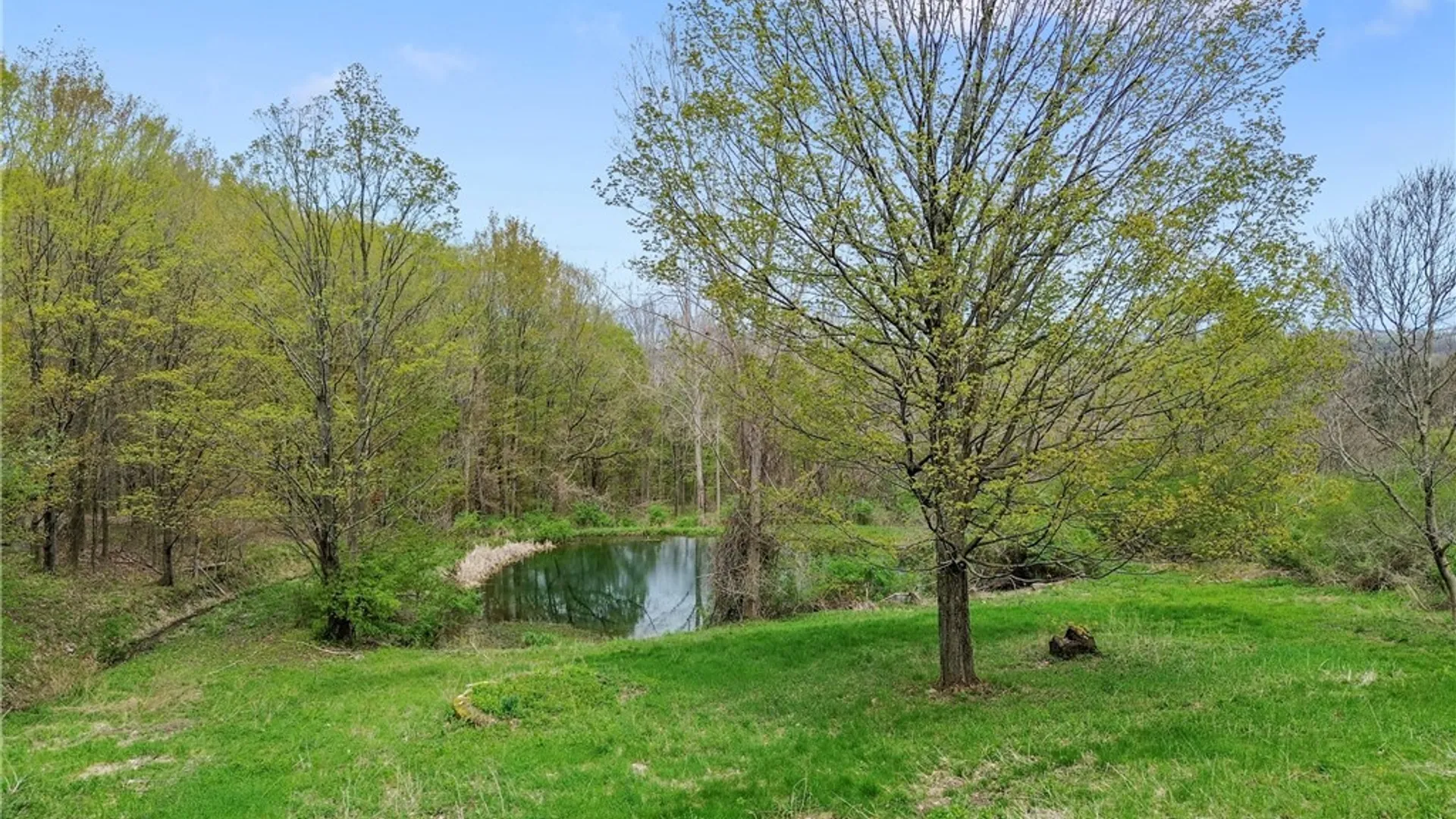 Property at 1078 Willowdale Road, Spafford, NY 13152 33