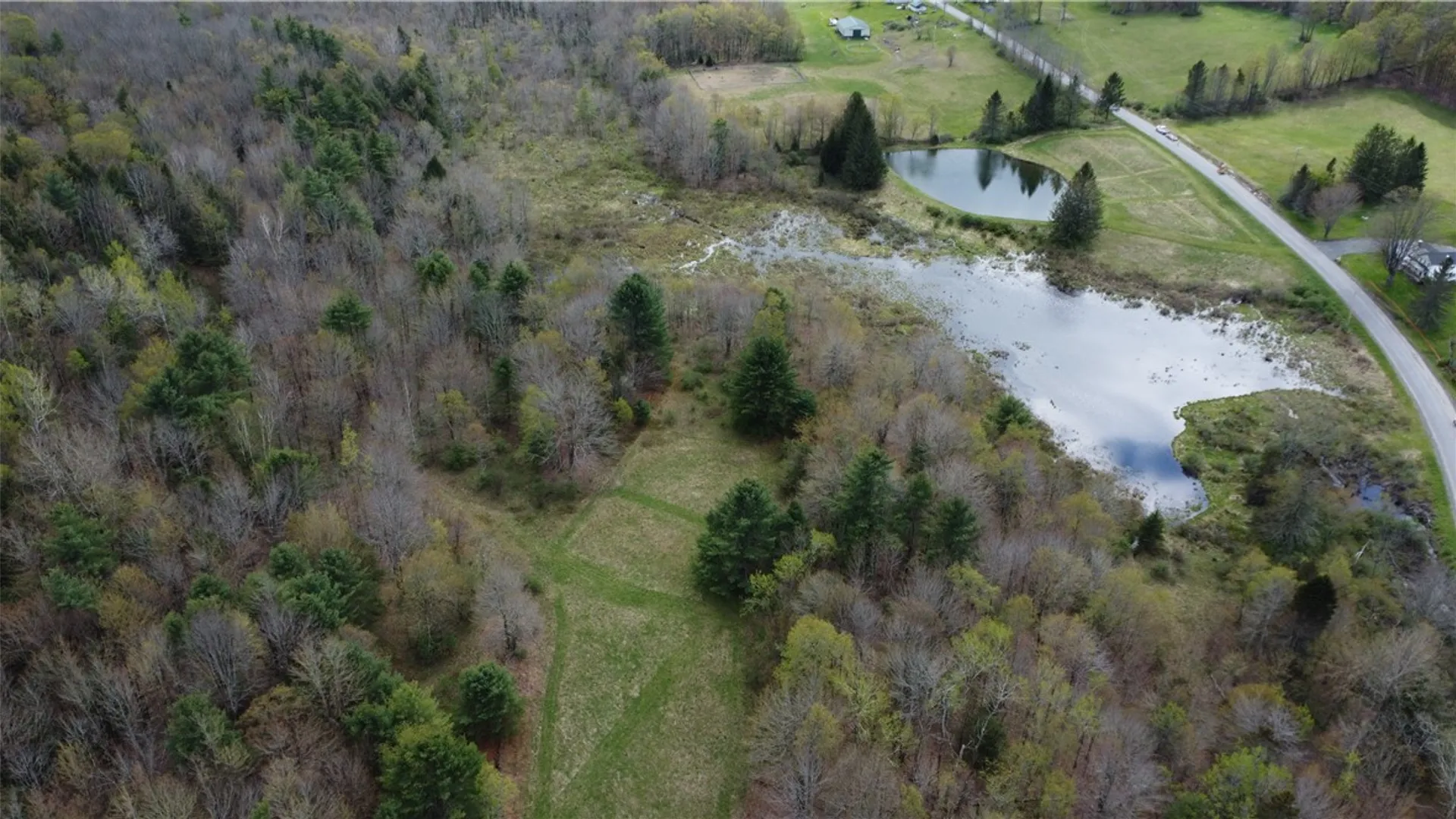 Property at 321 Allen Road, Jefferson, NY 12093 31