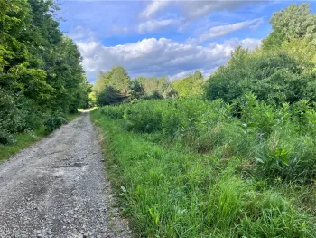 Property at Greenbush Road, Erin, NY 14838