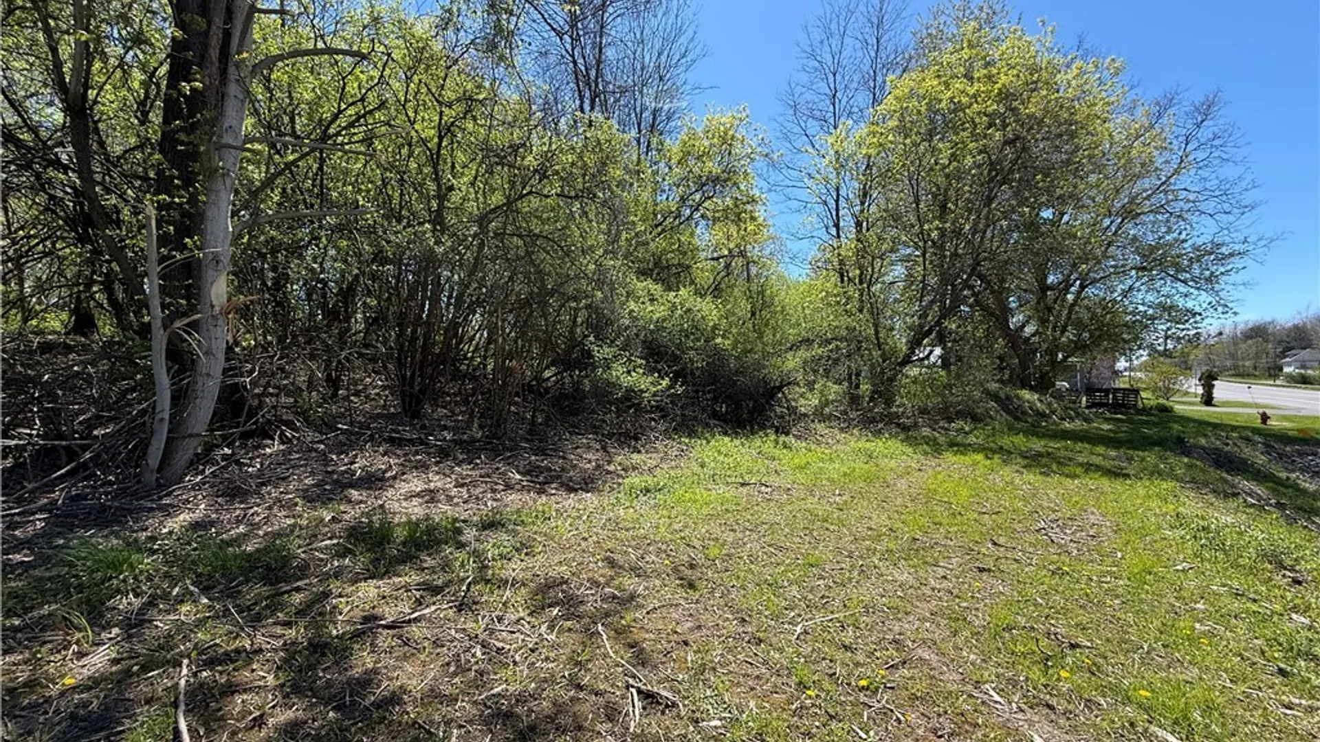 Property at Nys Rte 12f, Hounsfield, NY 13685 6