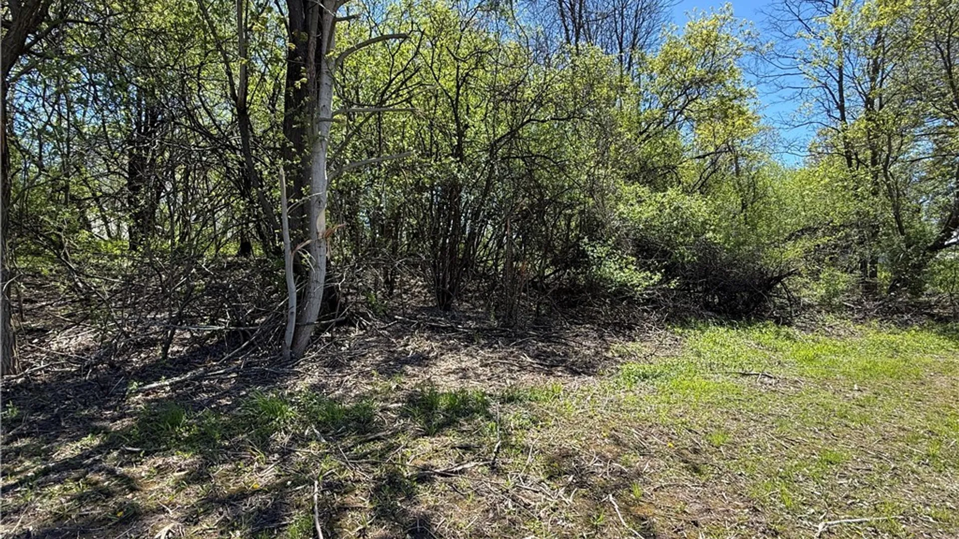 Property at Nys Rte 12f, Hounsfield, NY 13685 7