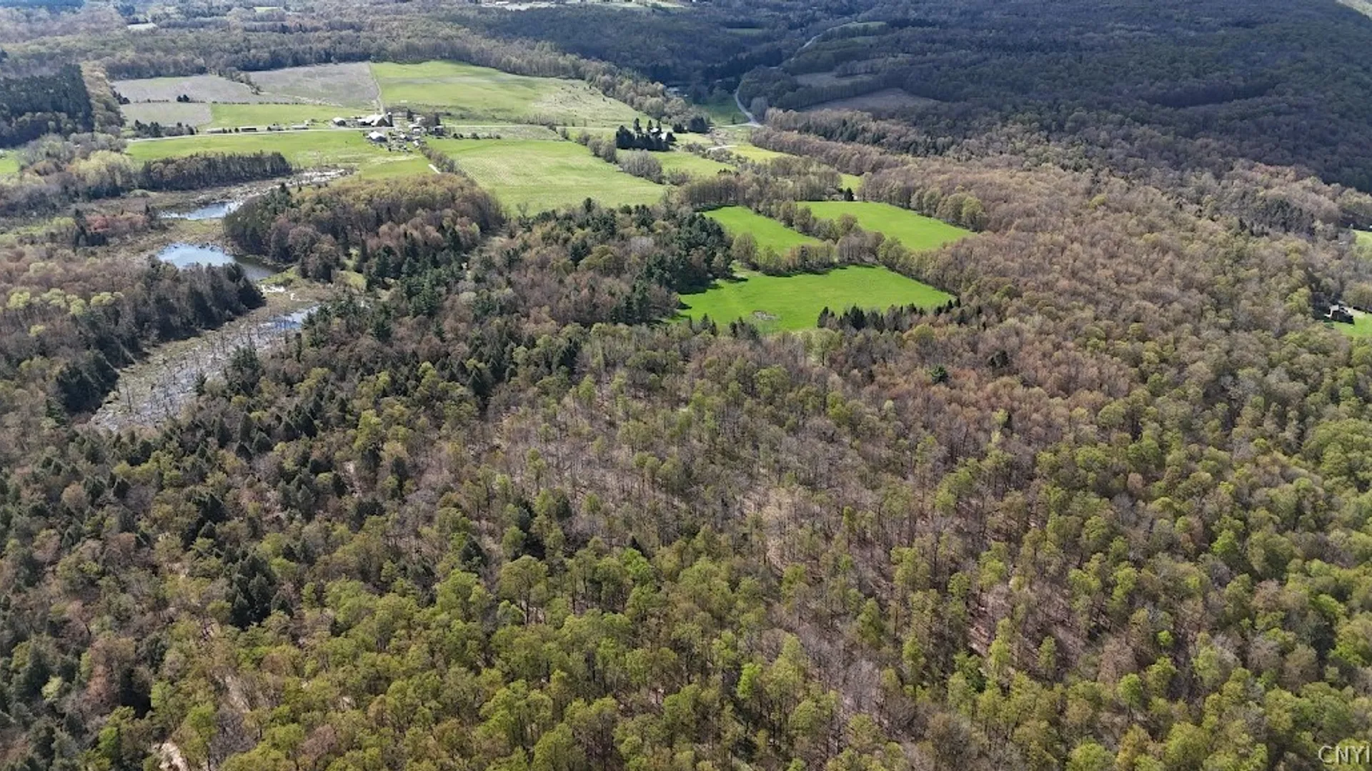 Property at 1324 Lake Como Road, Summerhill, NY 13118 3
