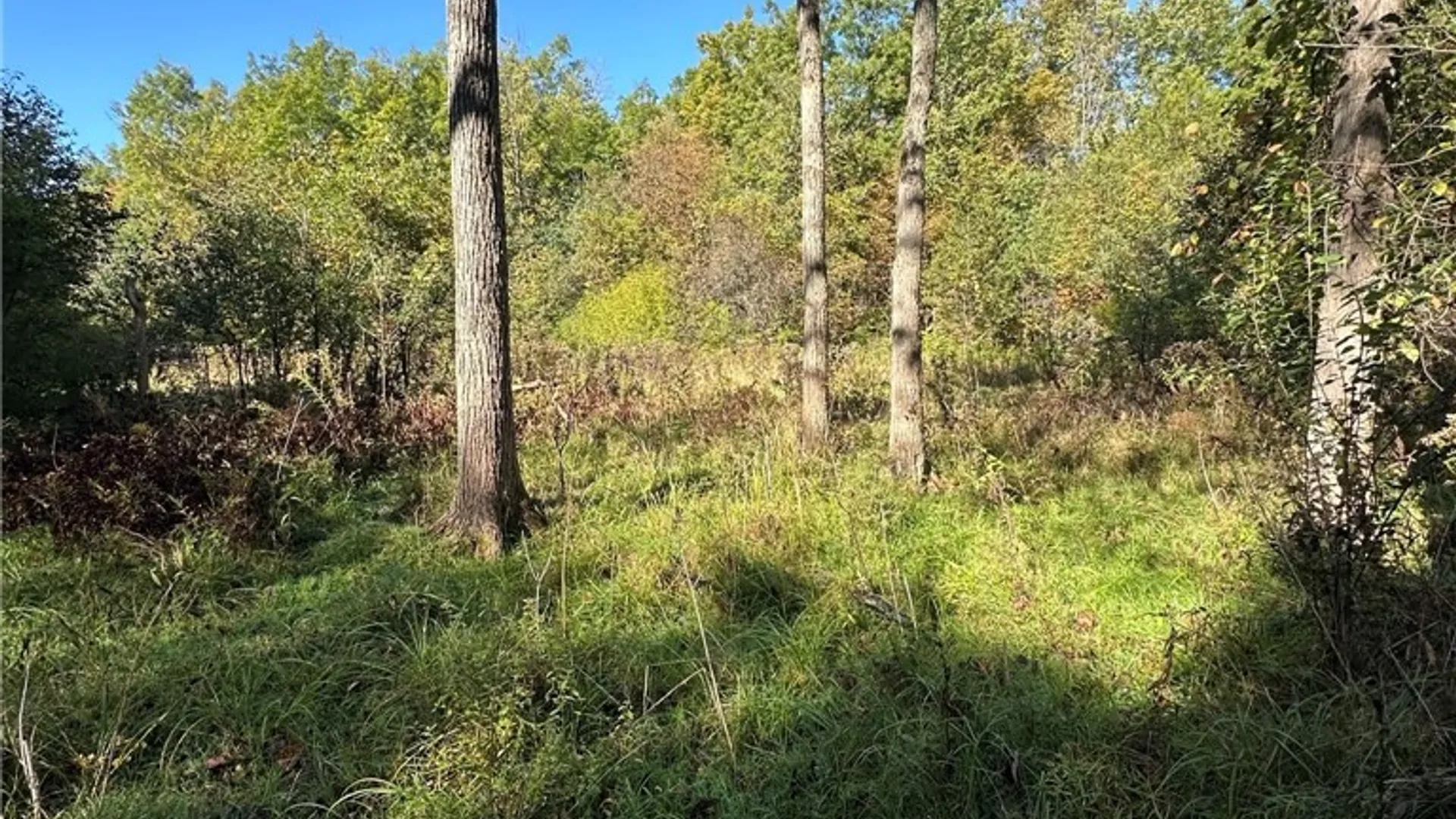 Property at 7 Big Island, Morristown, NY 13664 20