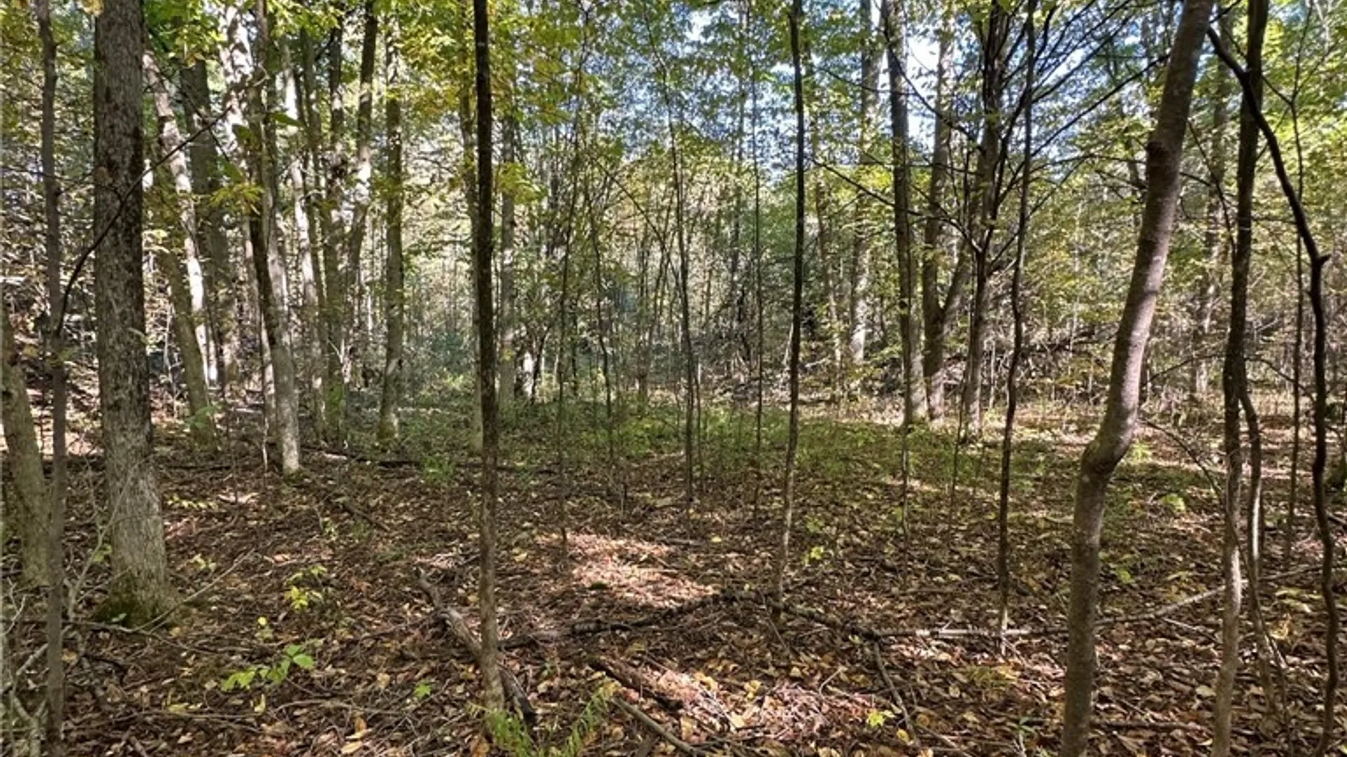 Property at 7 Big Island, Morristown, NY 13664 22