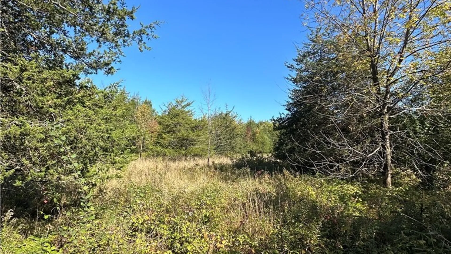 Property at 7 Big Island, Morristown, NY 13664 27