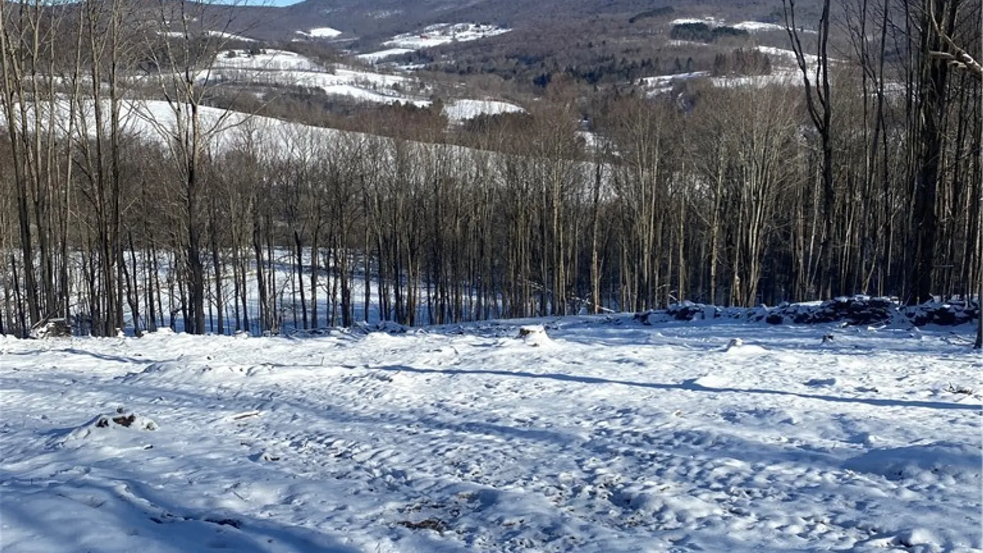 Property at 530 Cape Horn Road, Bovina, NY 13740 3