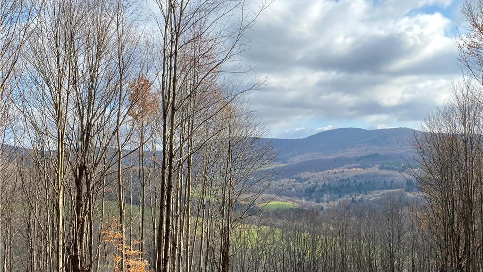 Property at 530 Cape Horn Road, Bovina, NY 13740 5