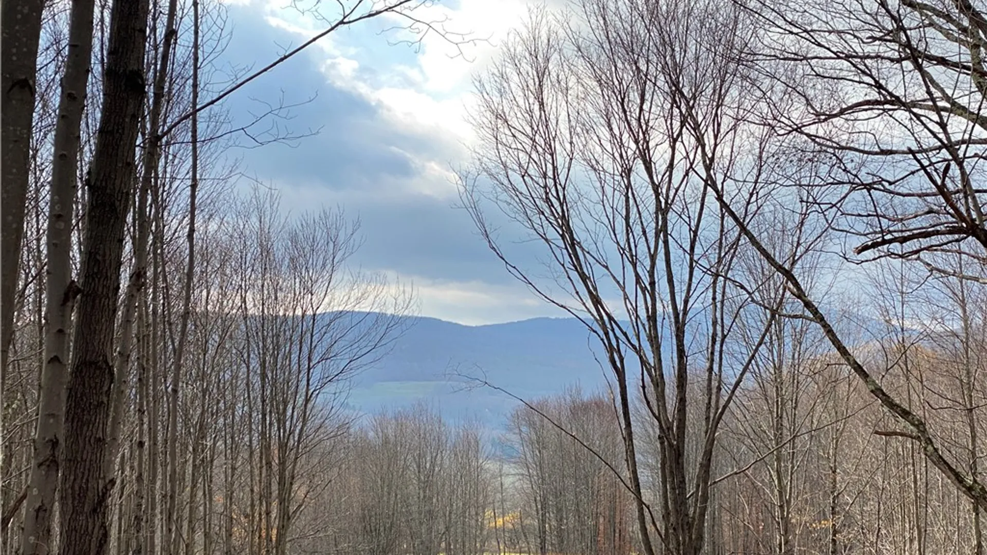 Property at 530 Cape Horn Road, Bovina, NY 13740 6
