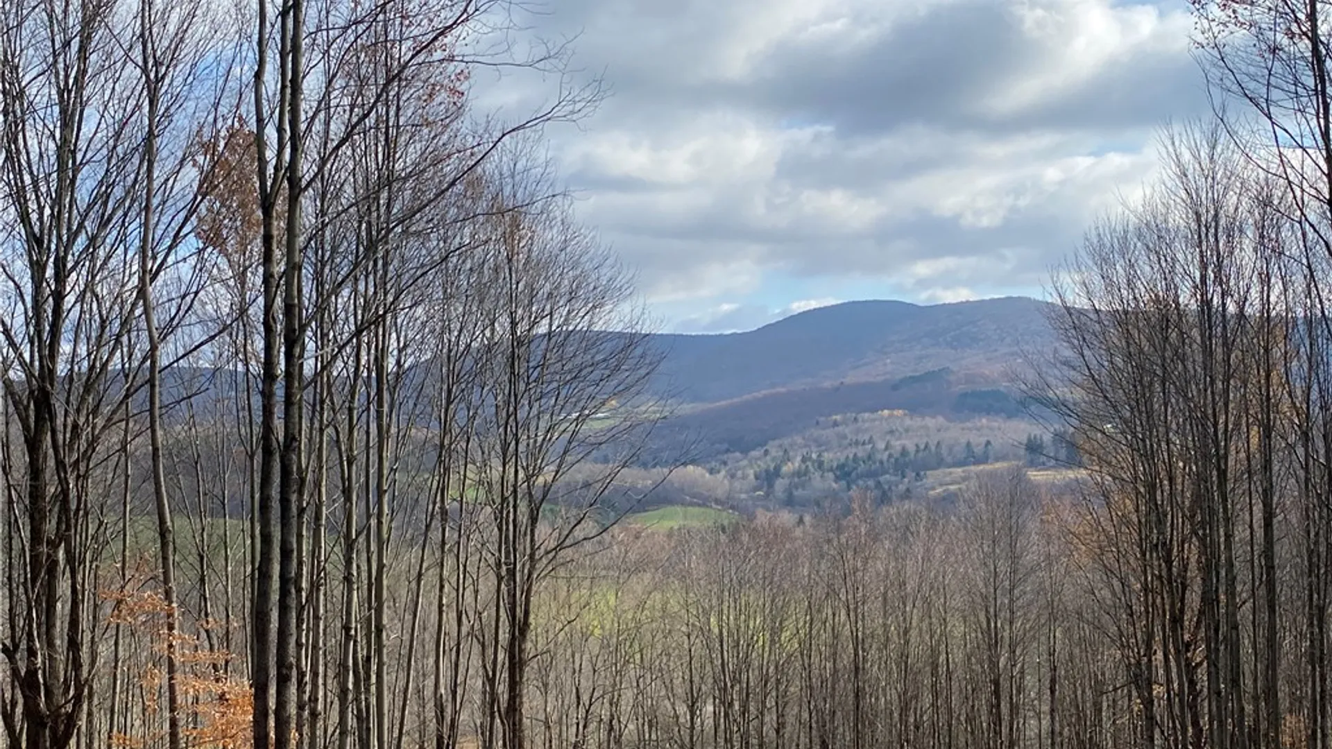 Property at 530 Cape Horn Road, Bovina, NY 13740 7