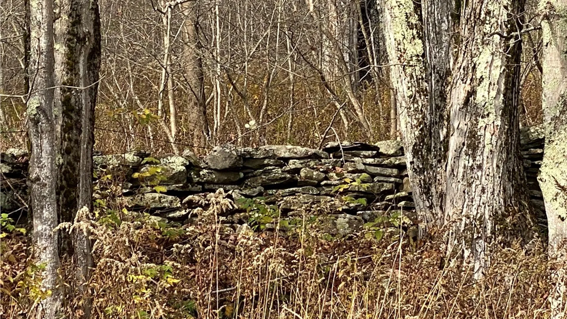 Property at 530 Cape Horn Road, Bovina, NY 13740 8