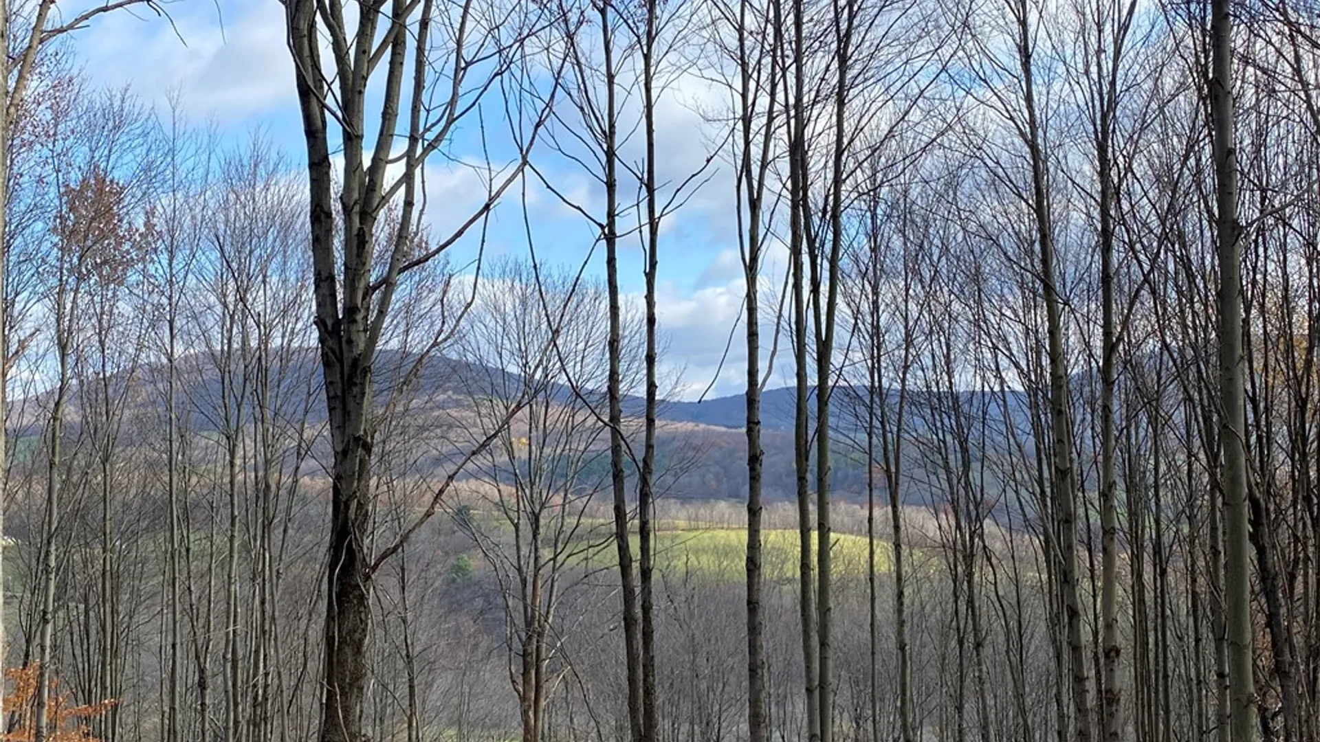 Property at 530 Cape Horn Road, Bovina, NY 13740 10