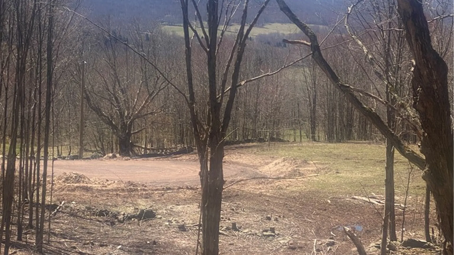 Property at 530 Cape Horn Road, Bovina, NY 13740 14