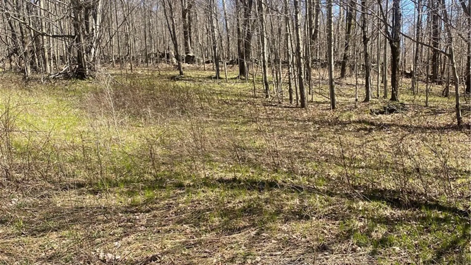 Property at 530 Cape Horn Road, Bovina, NY 13740 15