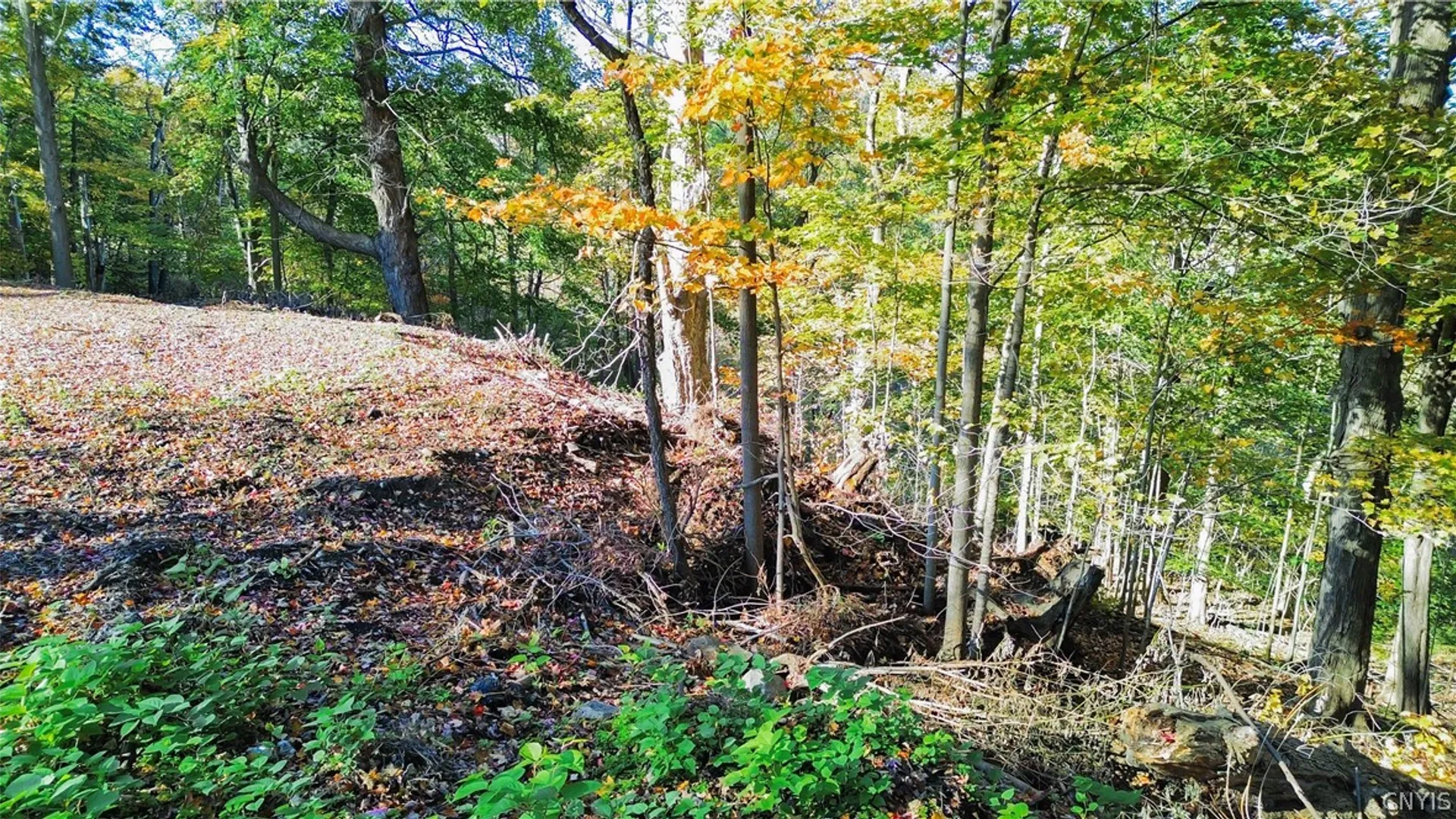 Property at Harrison Avenue, Frankfort, NY 13357 10