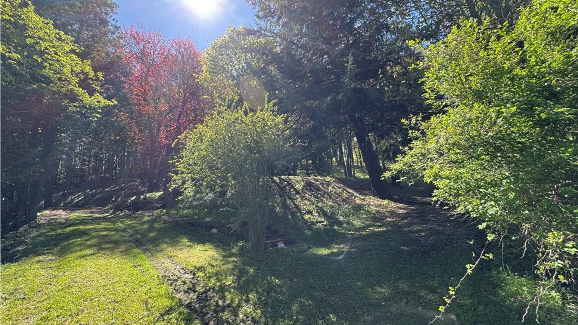 Property at 44 Elm Street, Andover, NY 14806 18