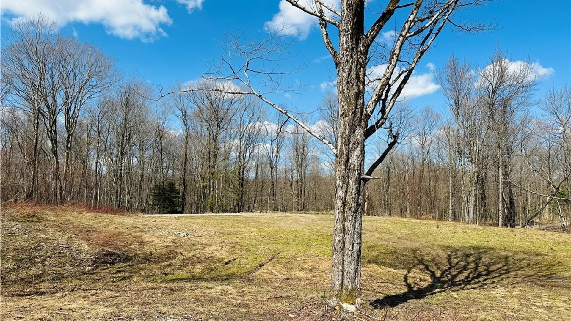 Property at 1950 Pitcher Road, Montague, NY 13367 5
