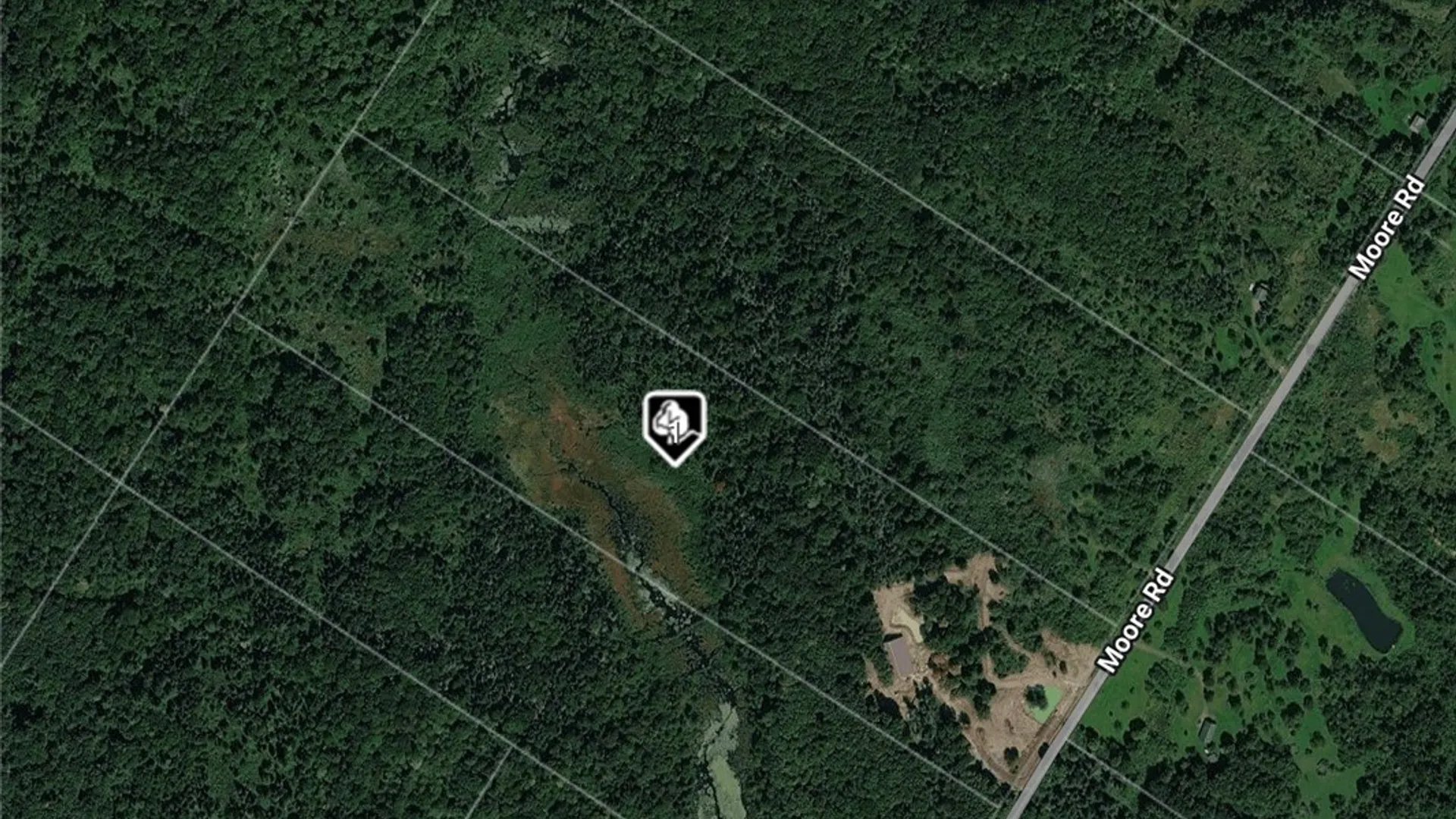 Property at 4317 Moore Road, West Turin, NY 13473 21