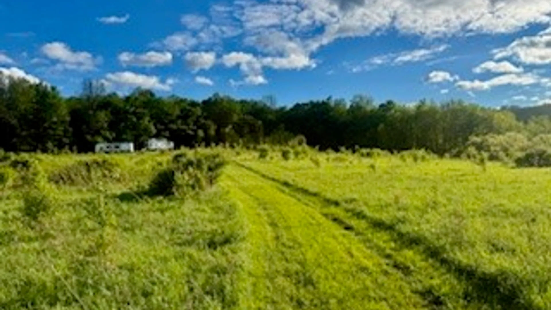 Property at Ridgeview Road, Plymouth, NY 13832 3