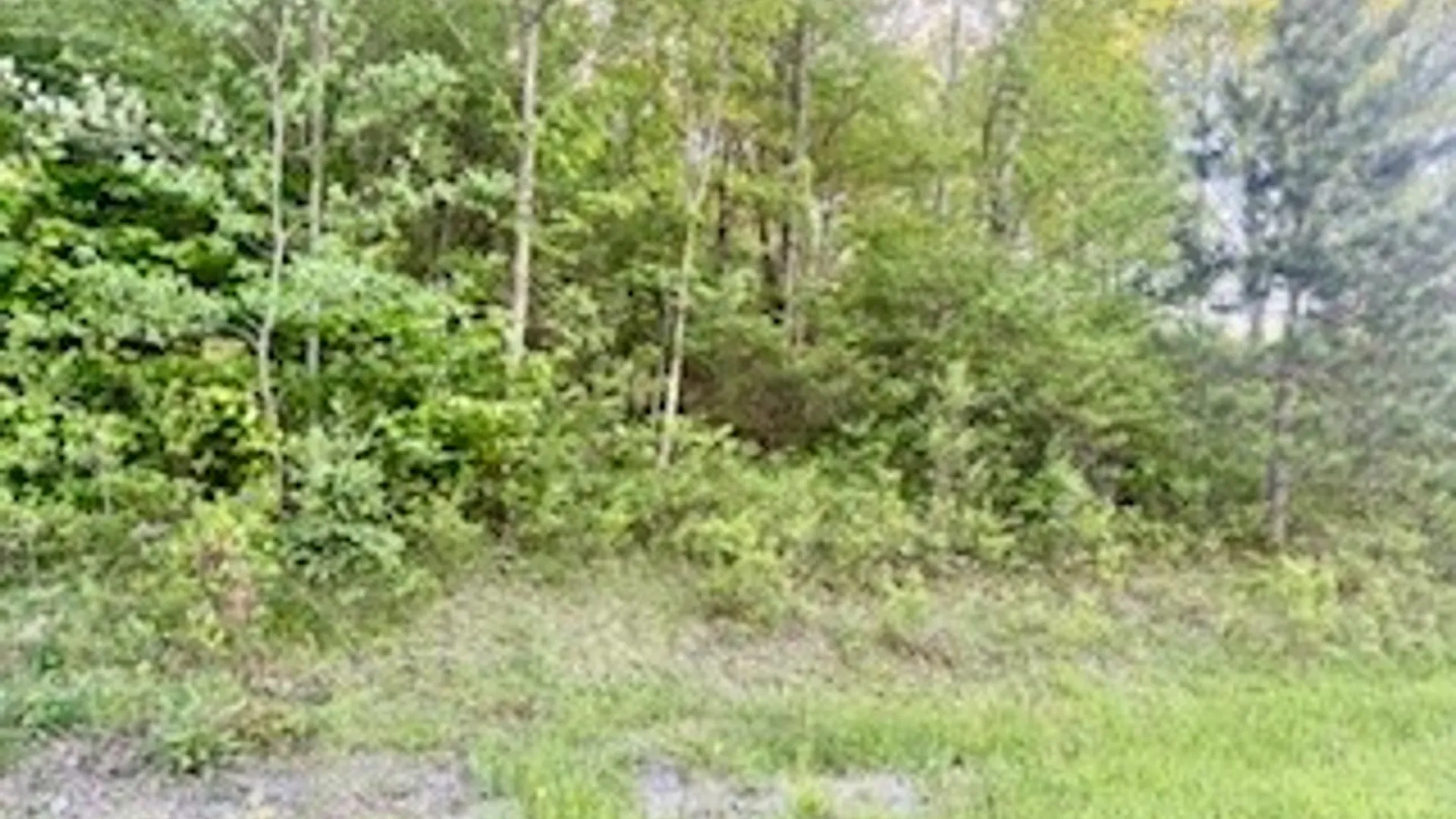 Property at Ridgeview Road, Plymouth, NY 13832 6