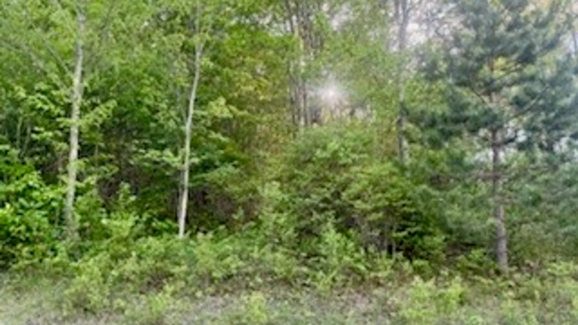 Property at Ridgeview Road, Plymouth, NY 13832 7
