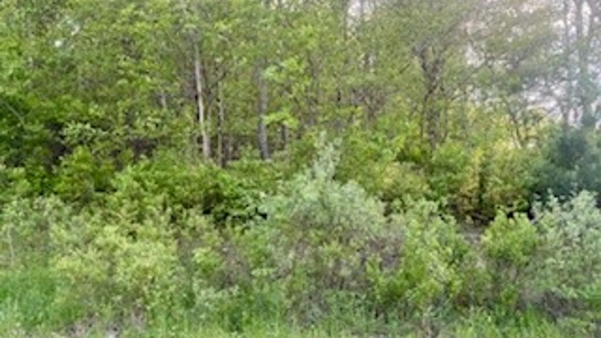 Property at Ridgeview Road, Plymouth, NY 13832 8