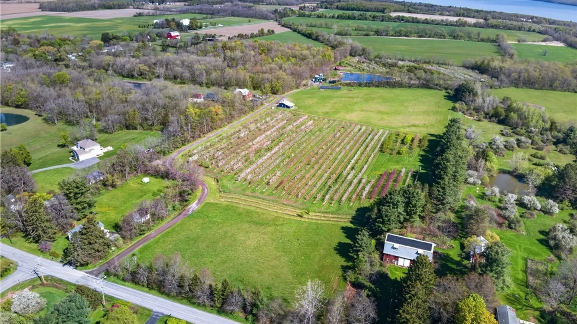 Property at 4675 Seneca Road, Covert, NY 14886 3