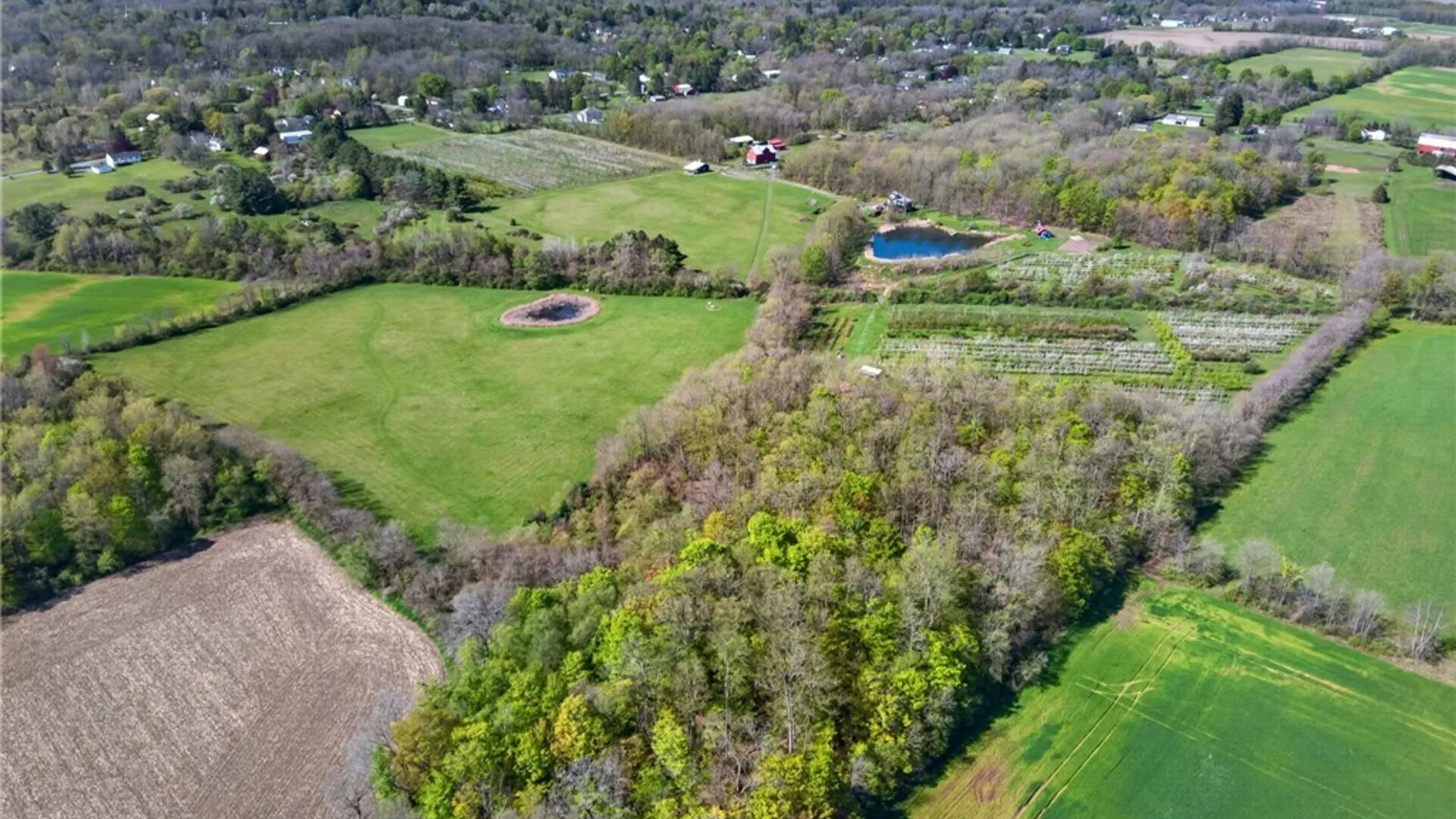Property at 4675 Seneca Road, Covert, NY 14886 5
