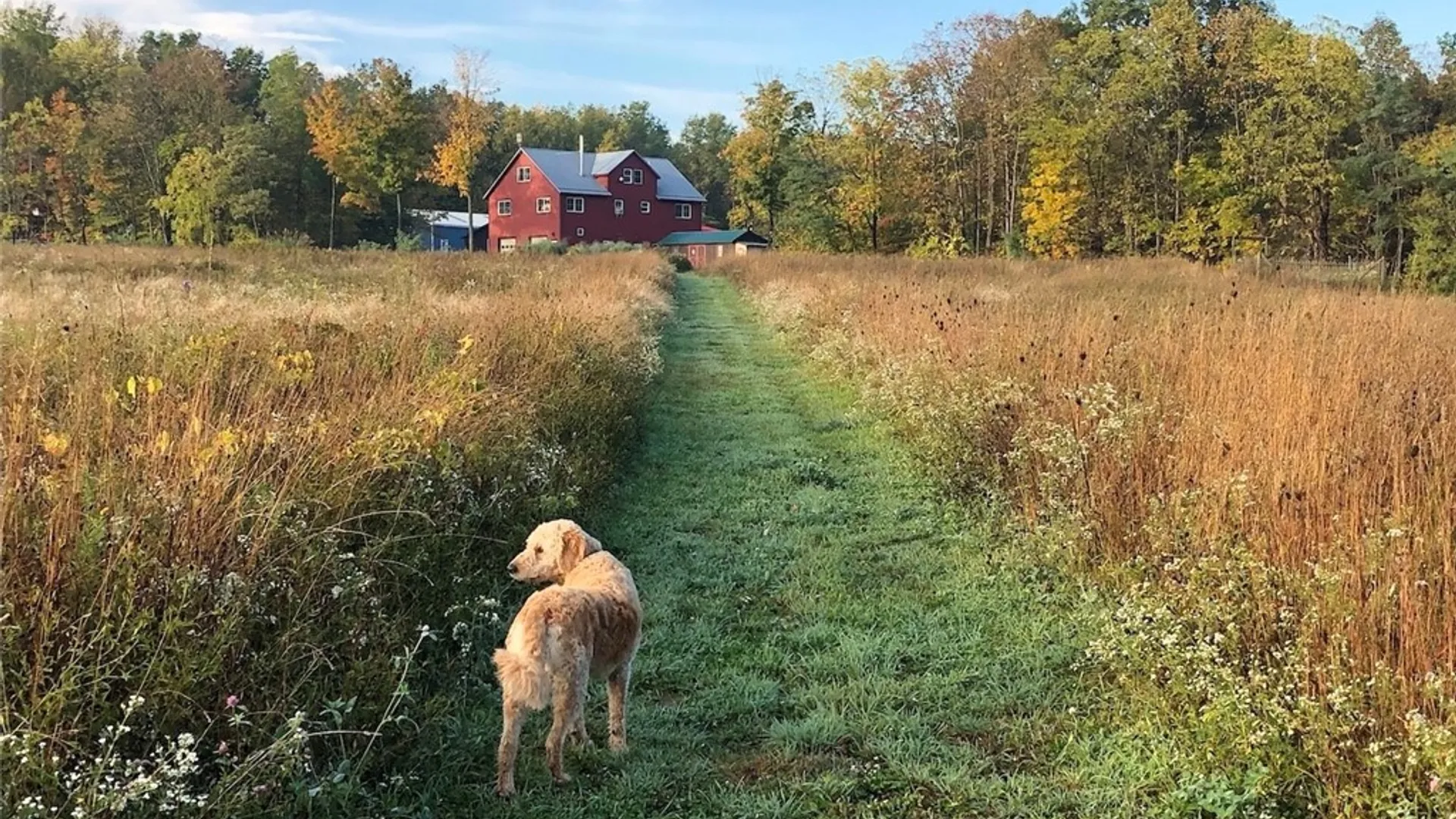 Property at 4675 Seneca Road, Covert, NY 14886 47