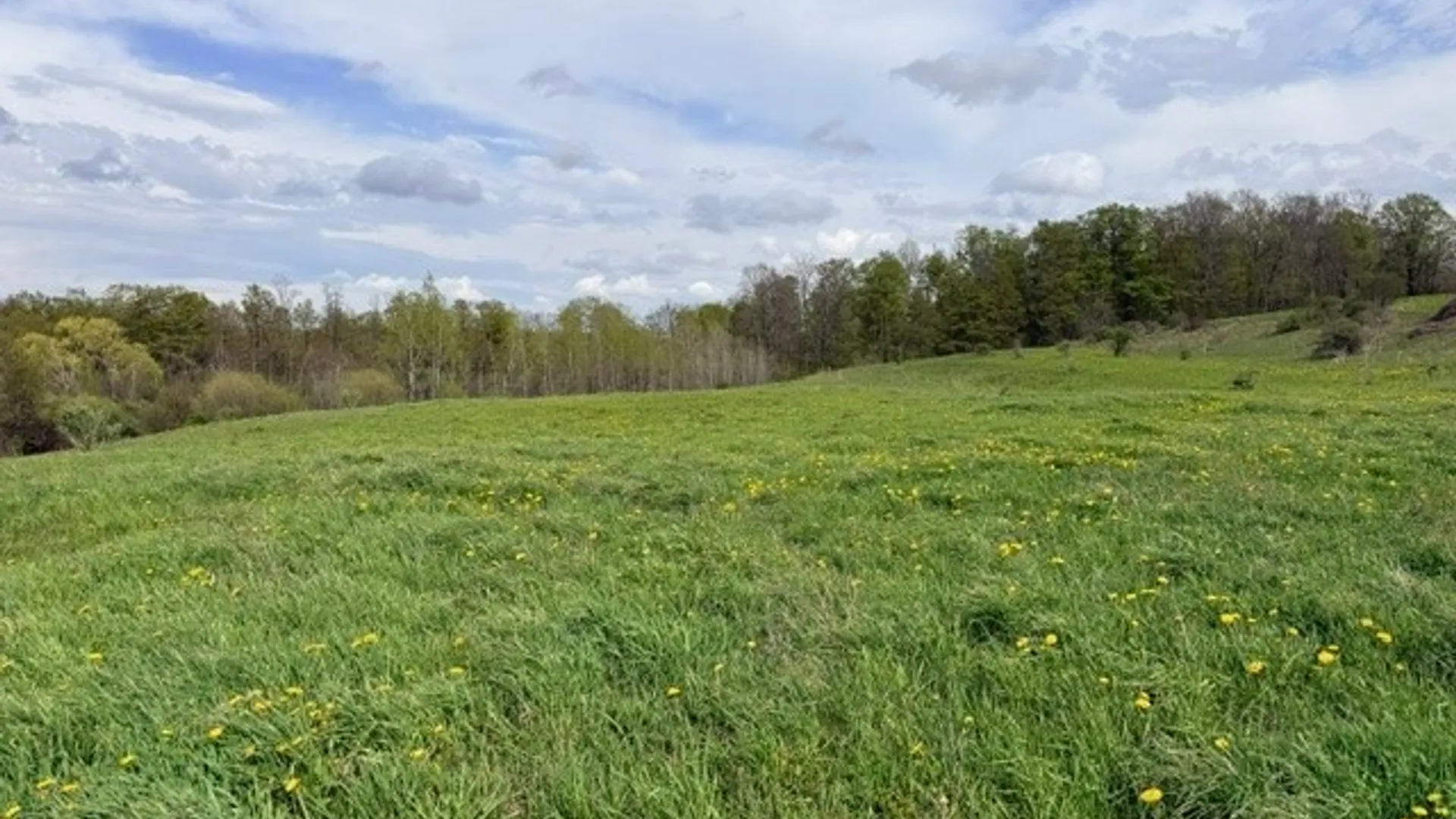 Property at 4634 Roberts Road, Fenner, NY 13035 26