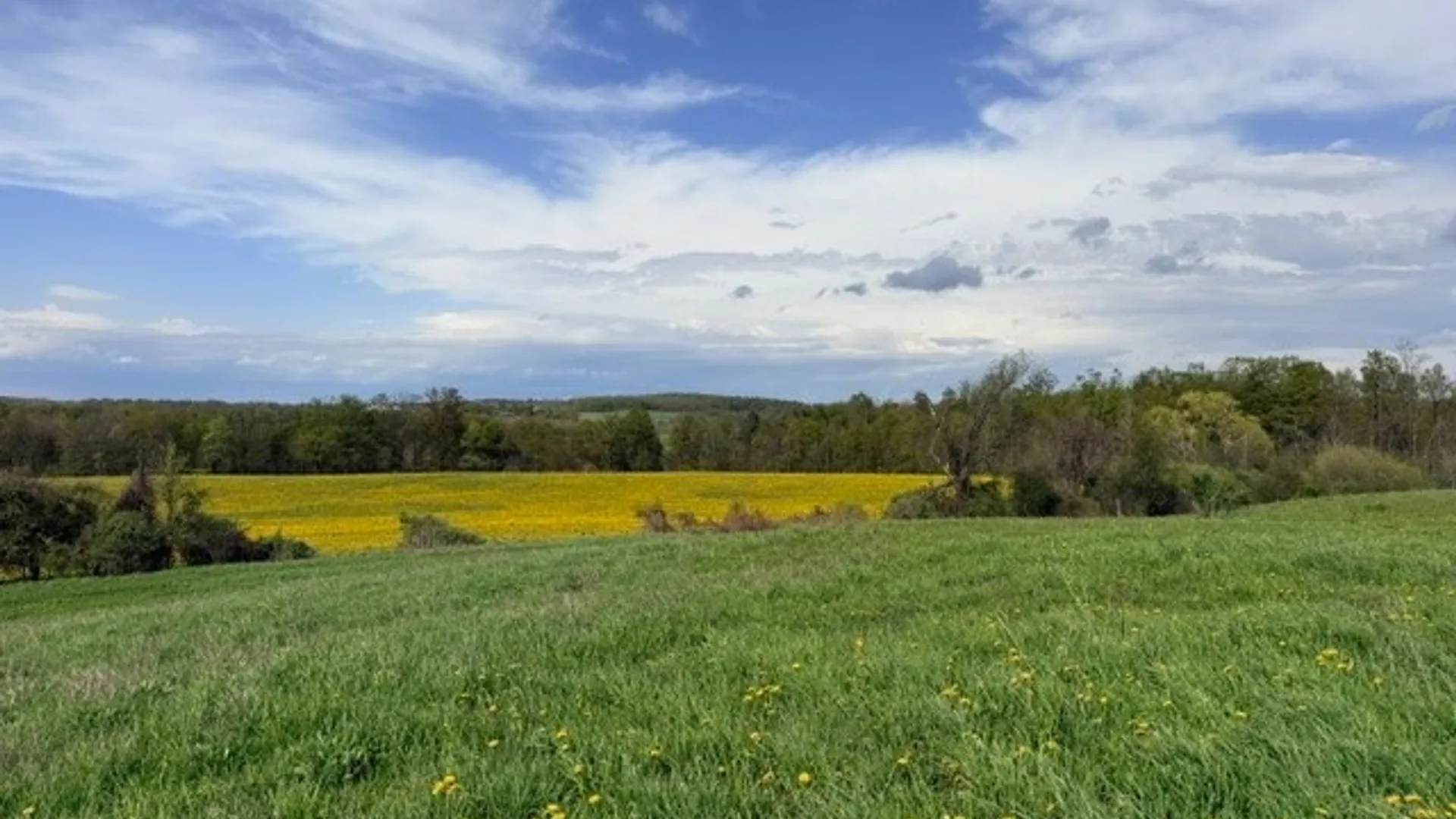 Property at 4634 Roberts Road, Fenner, NY 13035 29