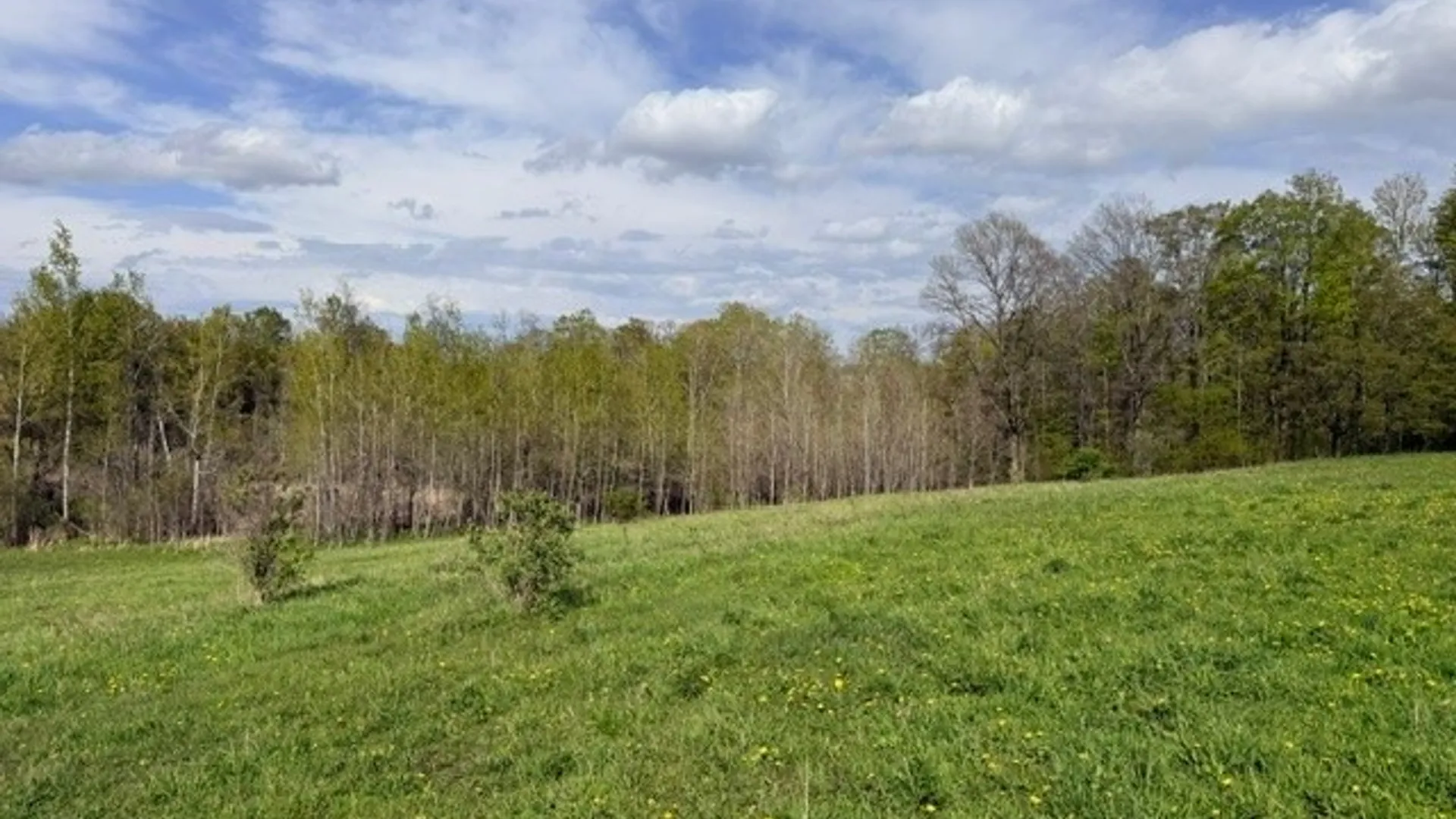 Property at 4634 Roberts Road, Fenner, NY 13035 31