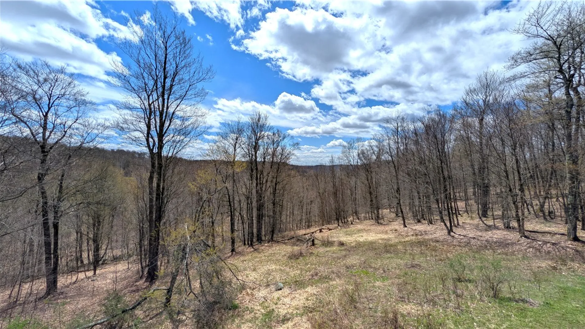 Property at 469 Mountain View Drive, Tompkins, NY 13856 36
