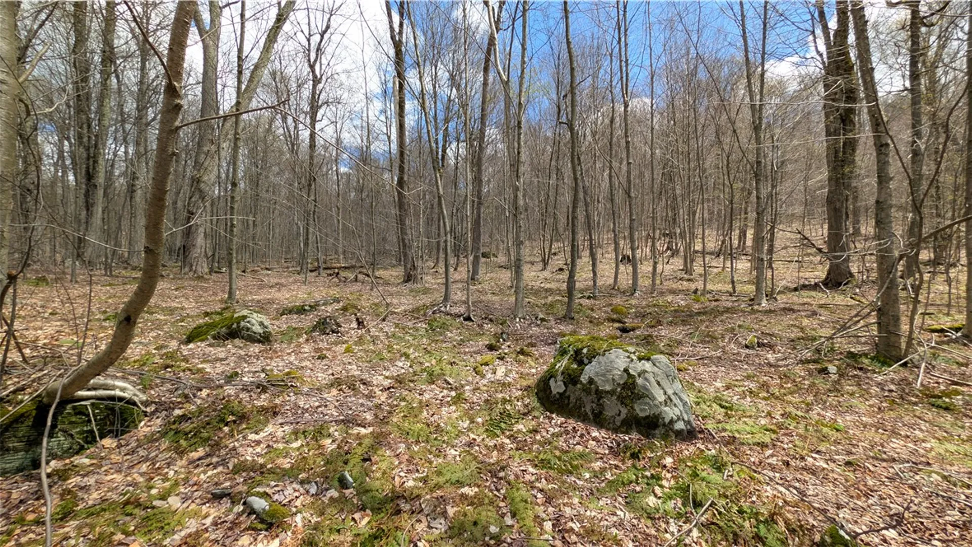 Property at 469 Mountain View Drive, Tompkins, NY 13856 39