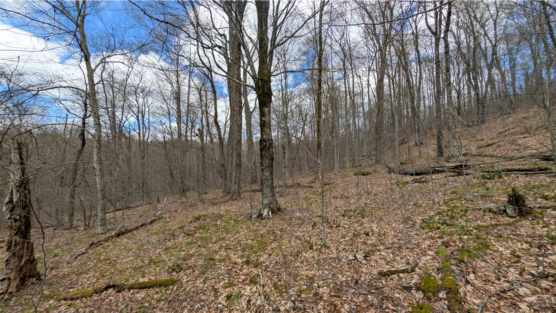 Property at 469 Mountain View Drive, Tompkins, NY 13856 40