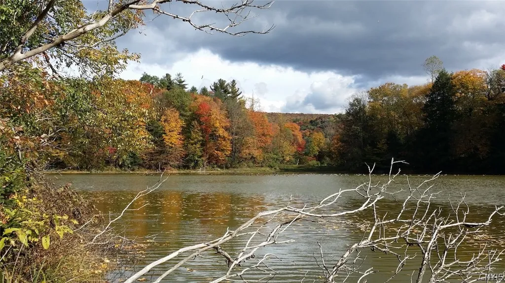 Property at 1720 County Route 12, Lincklaen, NY 13052