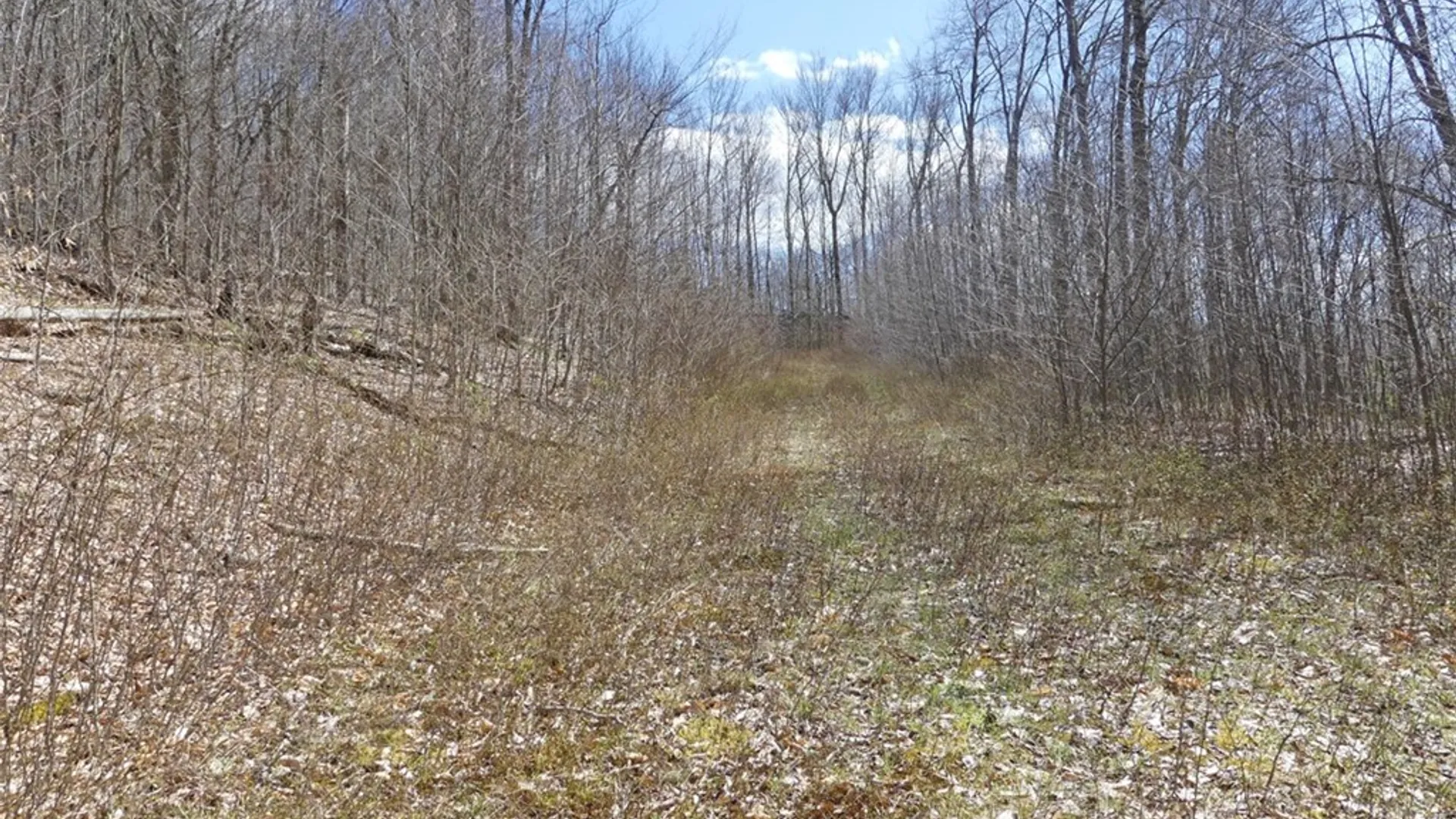 Property at Lot 11.2 Alpine Drive, Bovina, NY 13731 5