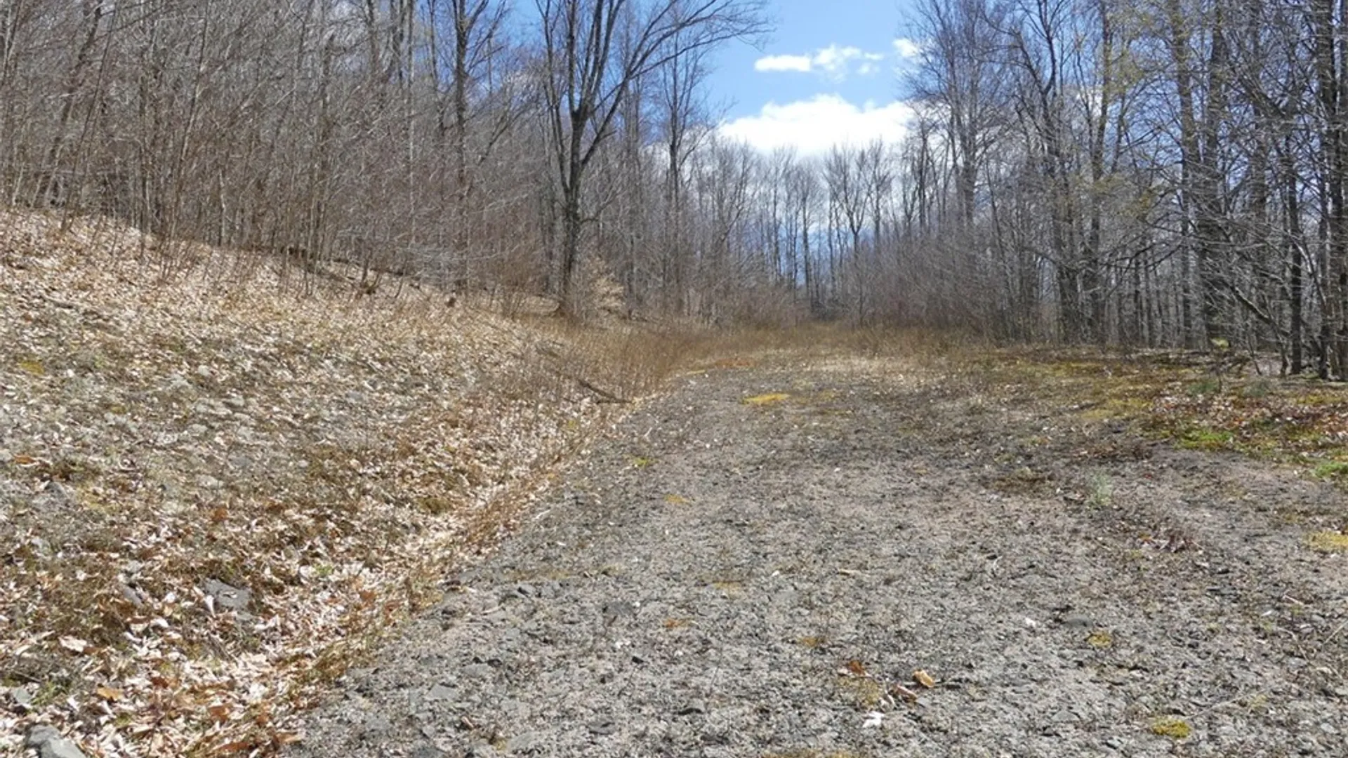Property at Lot 11.2 Alpine Drive, Bovina, NY 13731 7