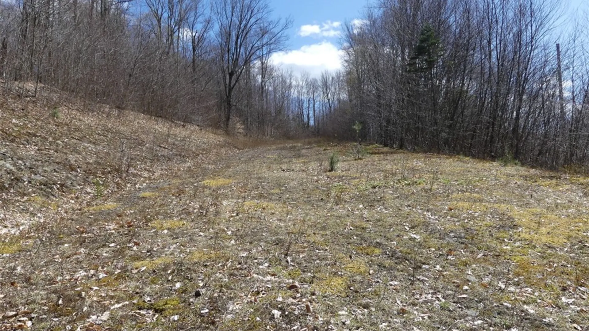 Property at Lot 11.2 Alpine Drive, Bovina, NY 13731 8