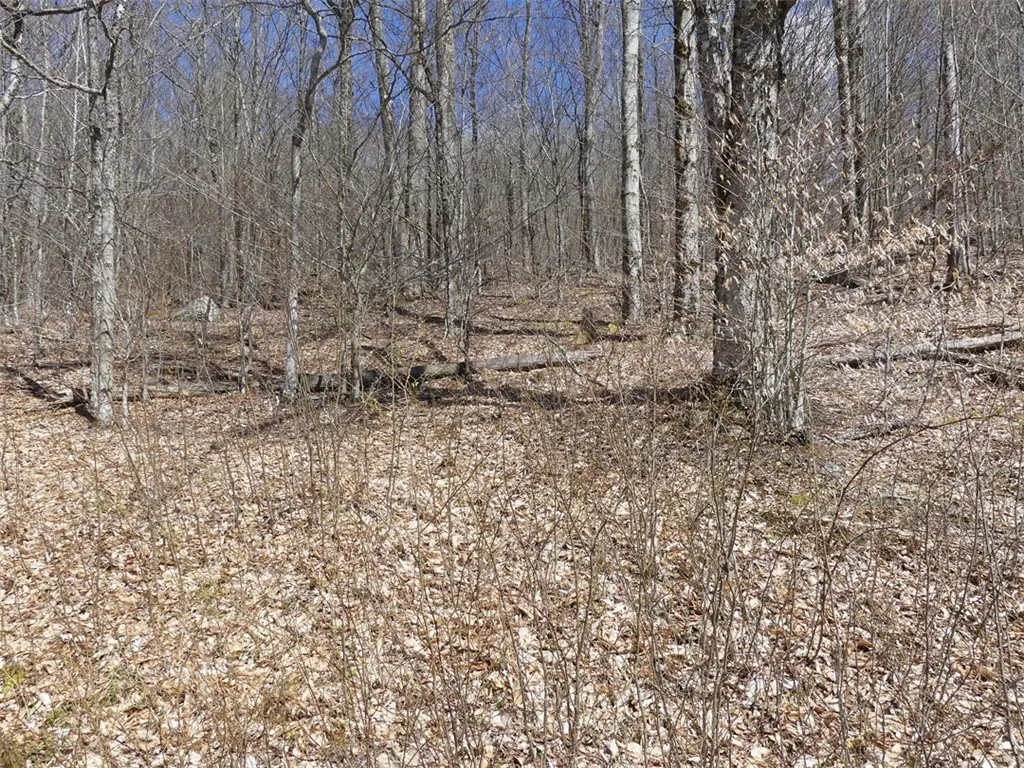 Property at Lot 11.2 Alpine Drive, Bovina, NY 13731