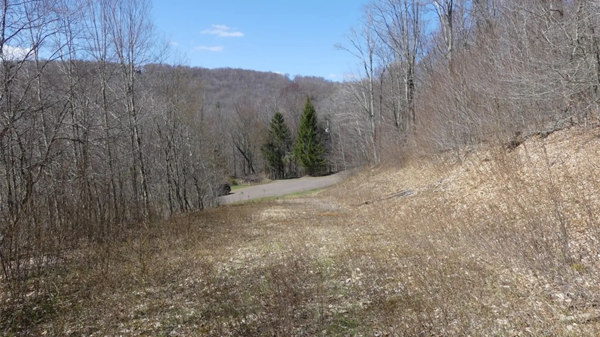 Property at Lot 11.2 Alpine Drive, Bovina, NY 13731 4