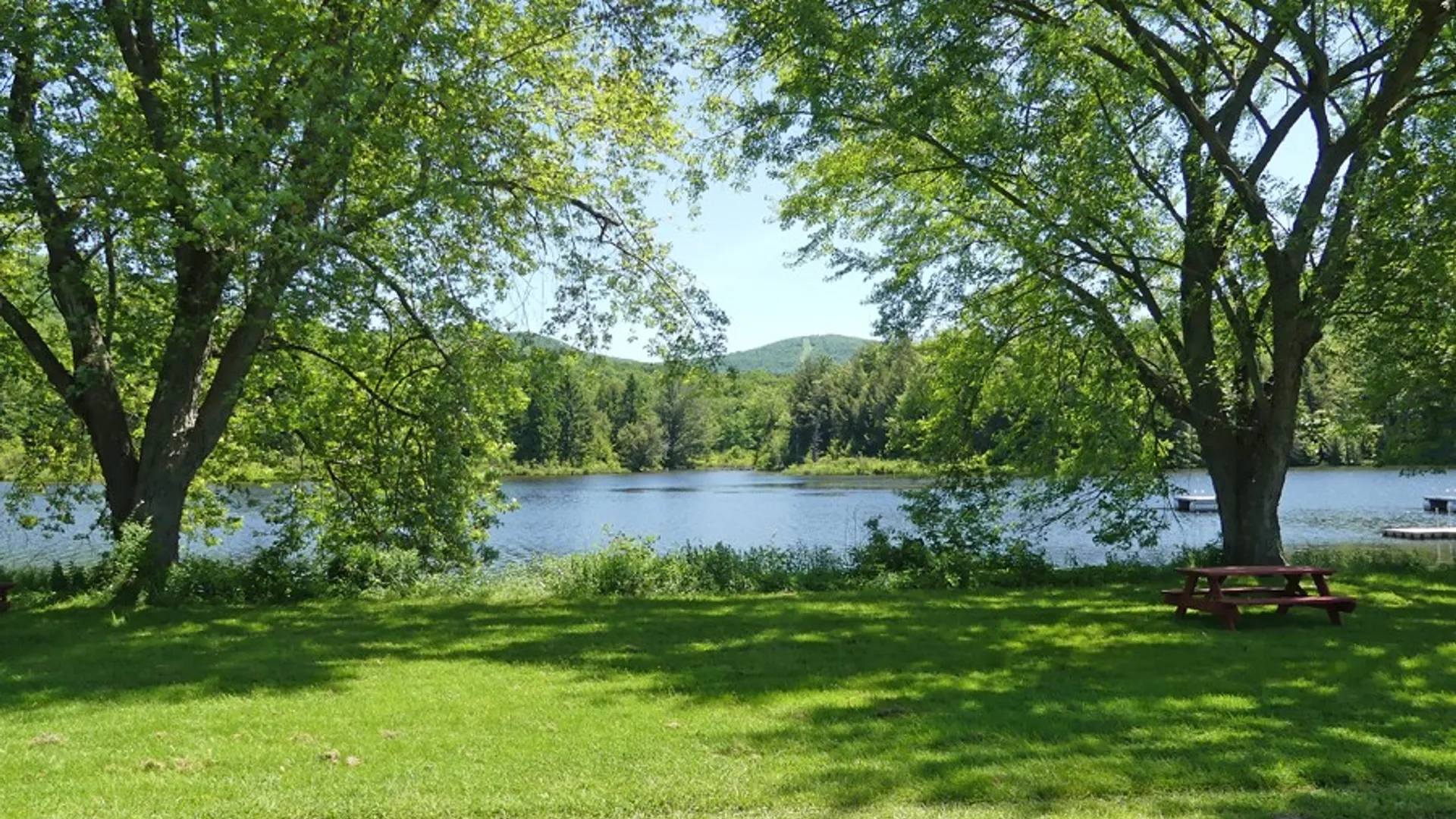 Property at Lot 11.2 Alpine Drive, Bovina, NY 13731 17