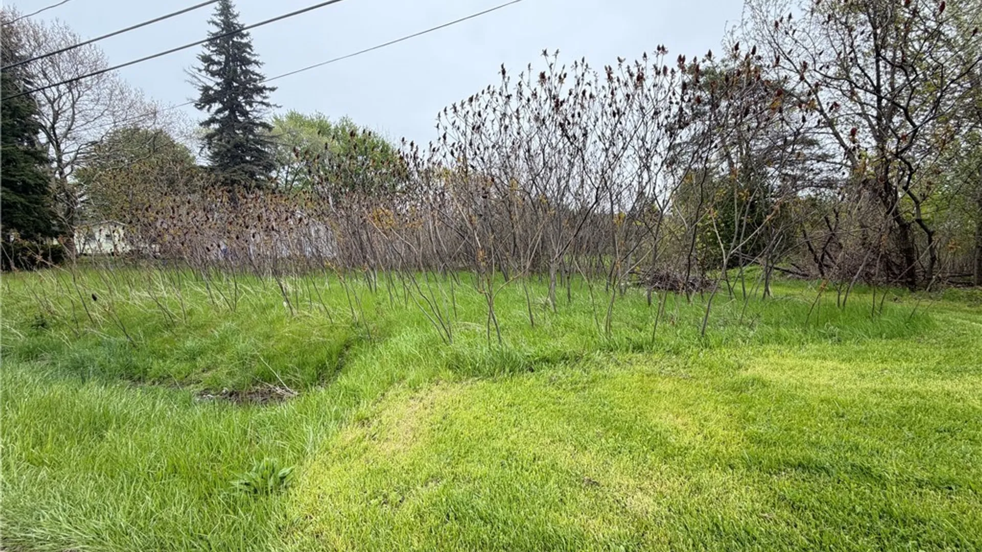 Property at VL Ridge Road, Lewiston, NY 14092 3