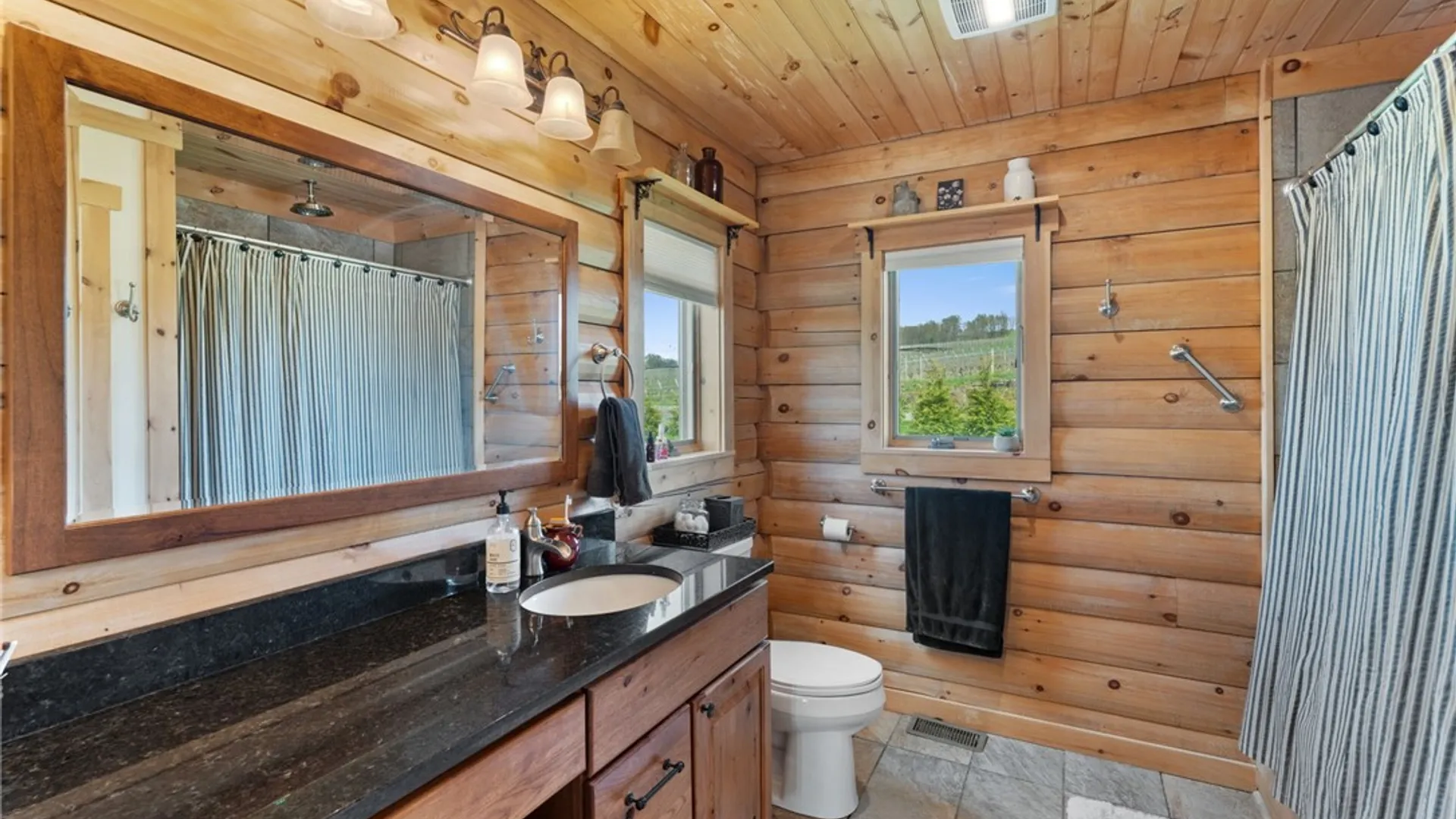 Property at 3682 Lexi Love Lane, Hector, NY 14841 6