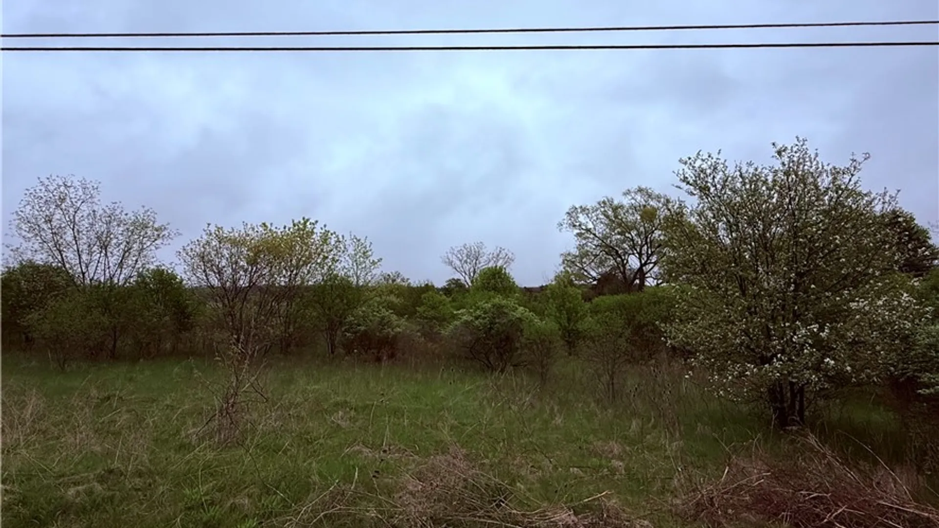Property at 000 Reeds Corners Road, Sparta, NY 14437 5